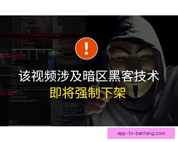 探秘暗网禁区：数据洪流中的隐秘价值与风险博弈